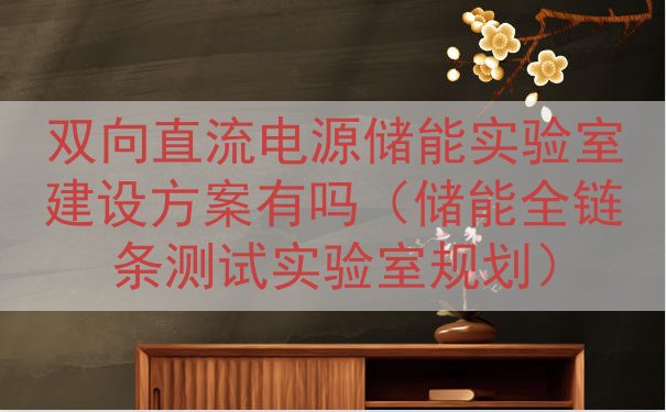 双向直流电源储能实验室建设方案有吗（储能全链条测试实验室规划）