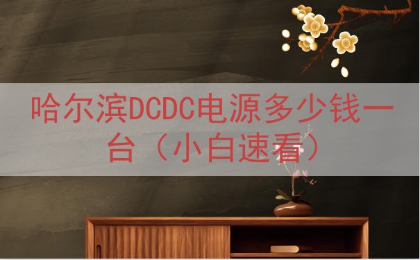 哈尔滨DCDC电源多少钱一台（小白速看）